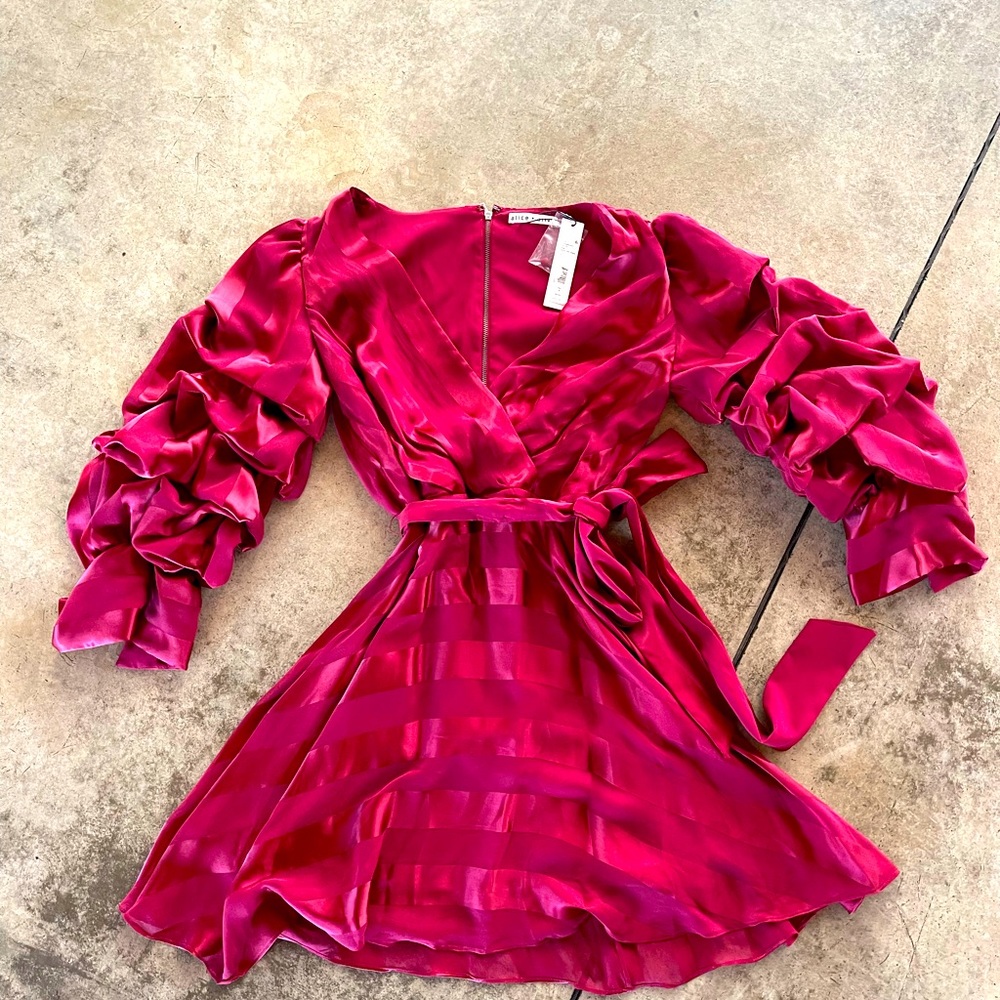 Alice and Olivia Satina dress